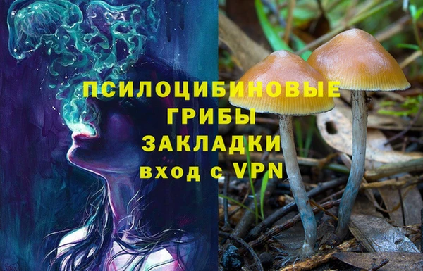марки nbome Аркадак