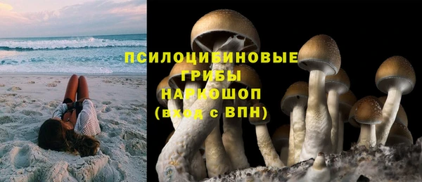 экстази Арсеньев