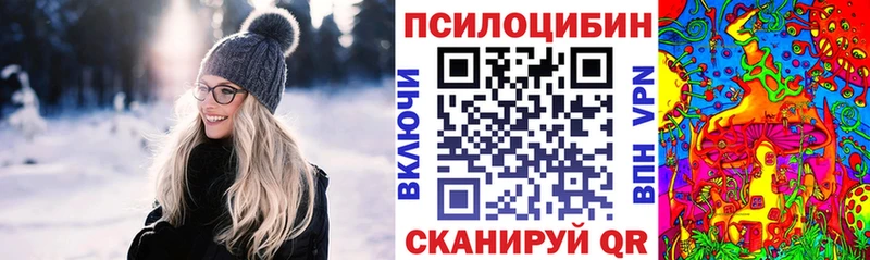Псилоцибиновые грибы GOLDEN TEACHER  дарк нет клад  Полярный 